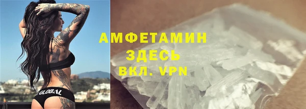 шишки Гусиноозёрск