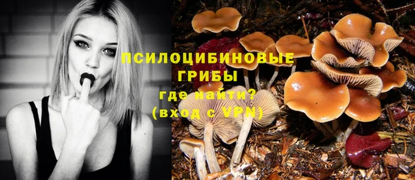 дурь Алзамай